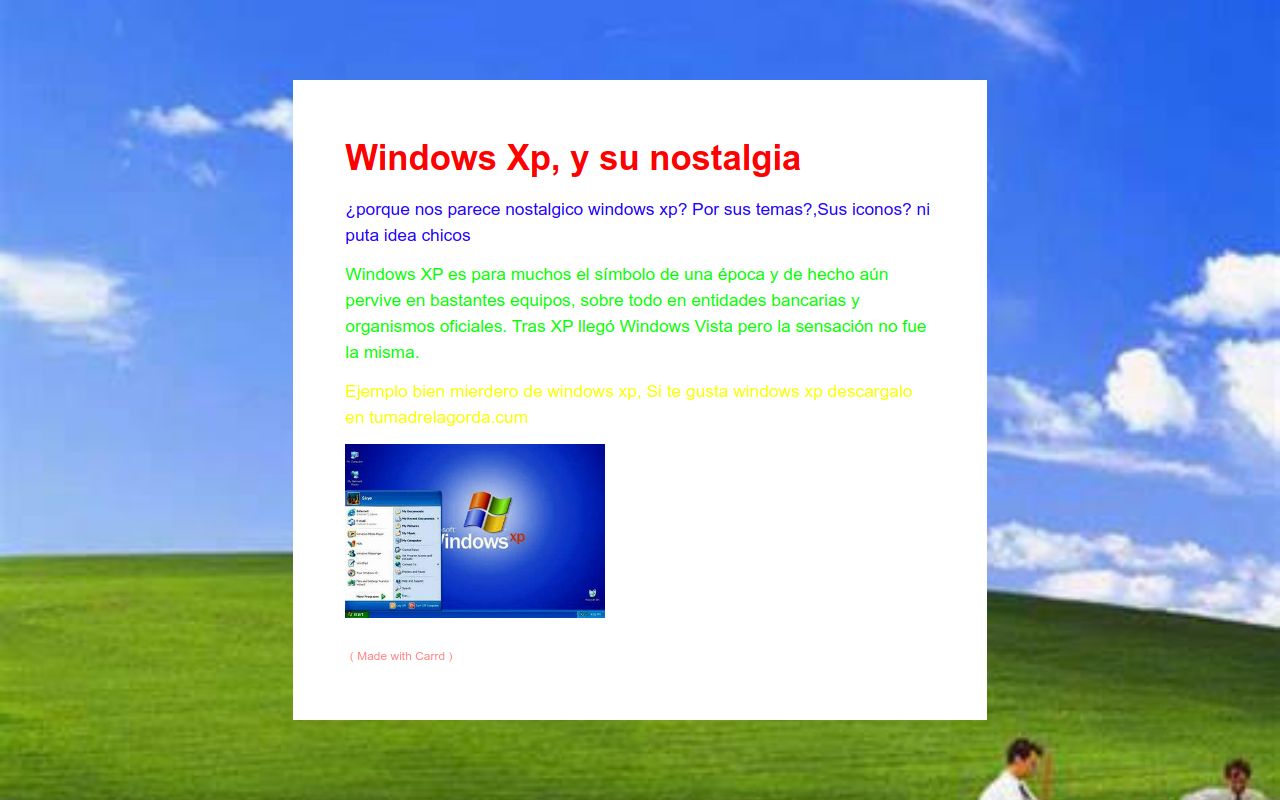 Windows xp